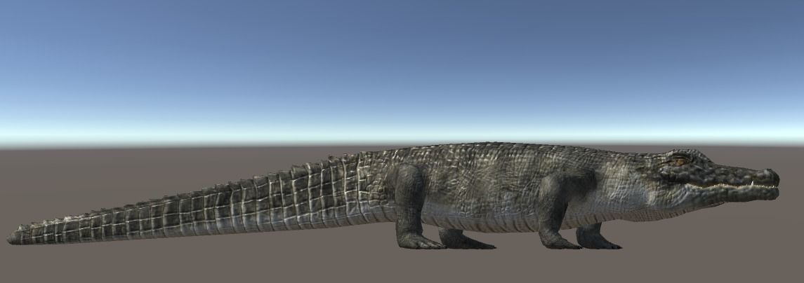 animated Forest animals  Low-poly 3D model_3