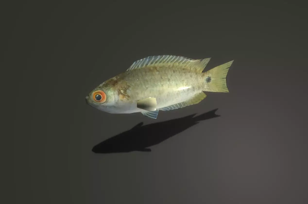 Fish 3D Free low-poly 3D model_0