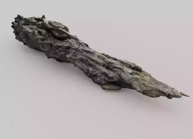 SCANNED BROKEN LOG Low-poly 3D model