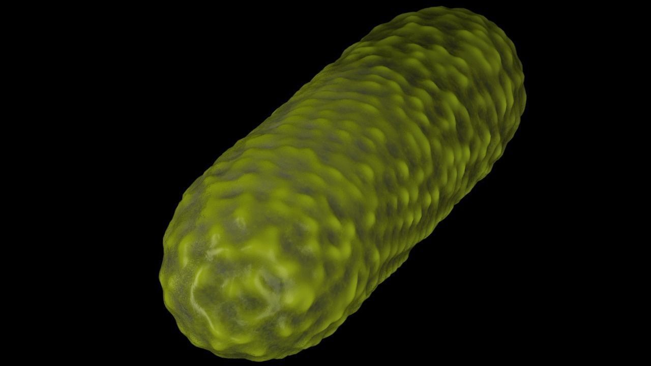 Bacteria two pack 3D model_25