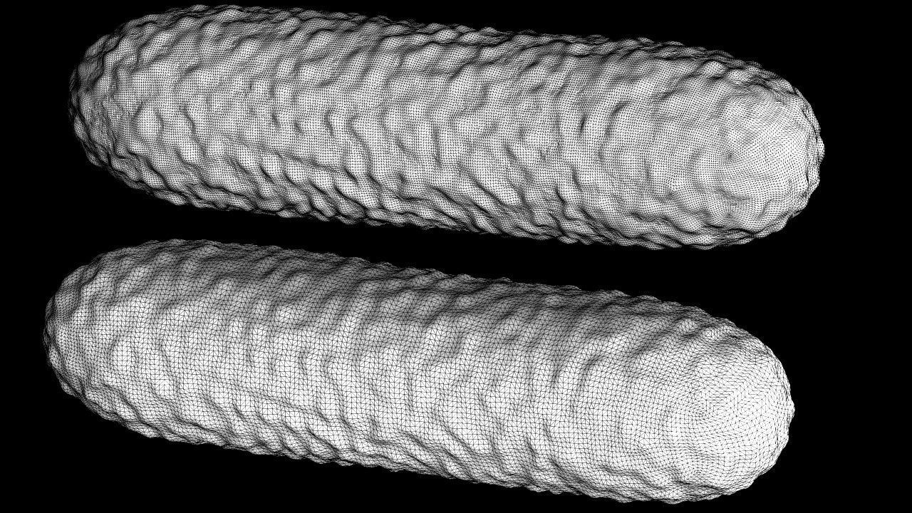 Bacteria two pack 3D model_16