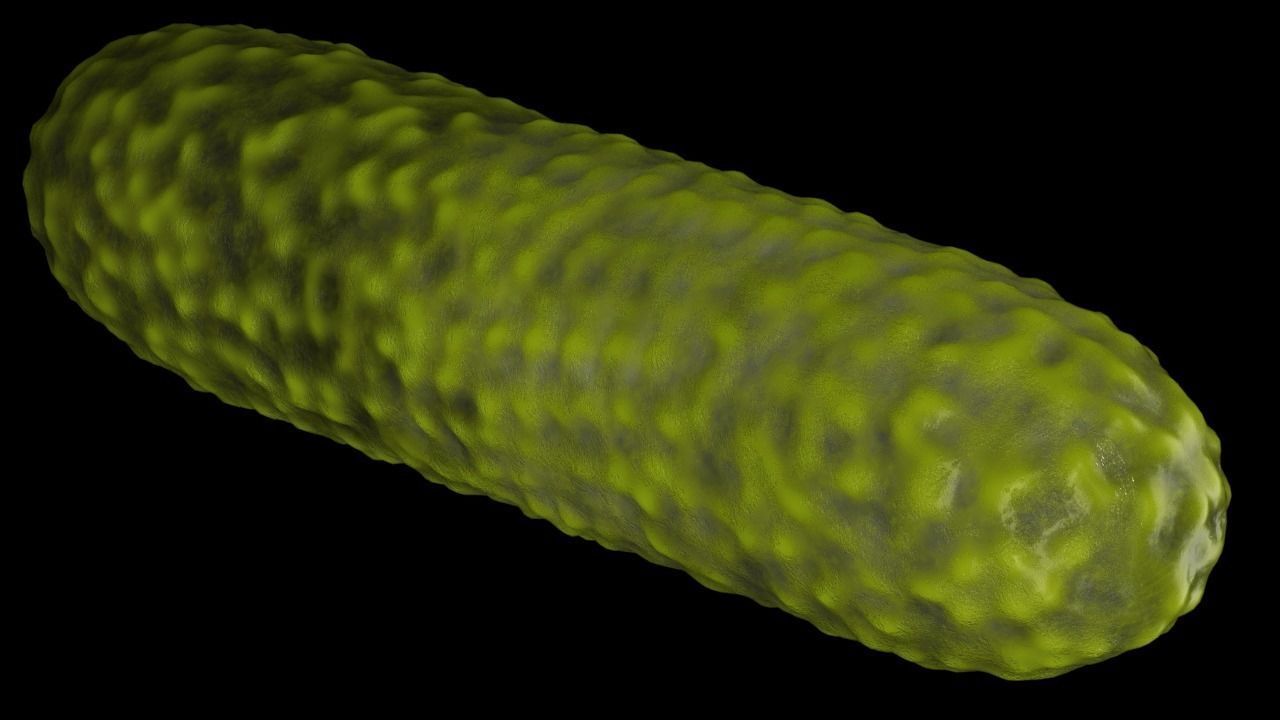 Bacteria two pack 3D model_26