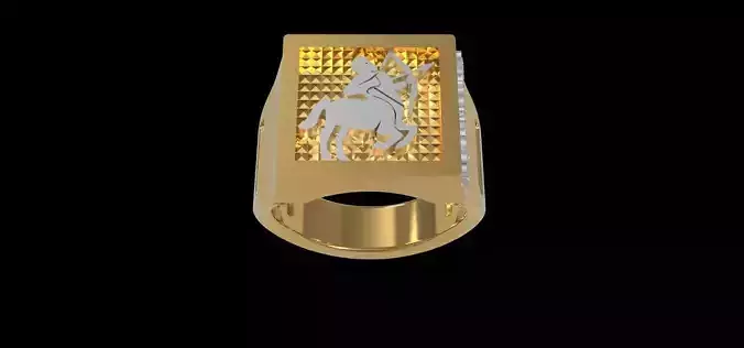 Zodiac SAGITTARIUS ring