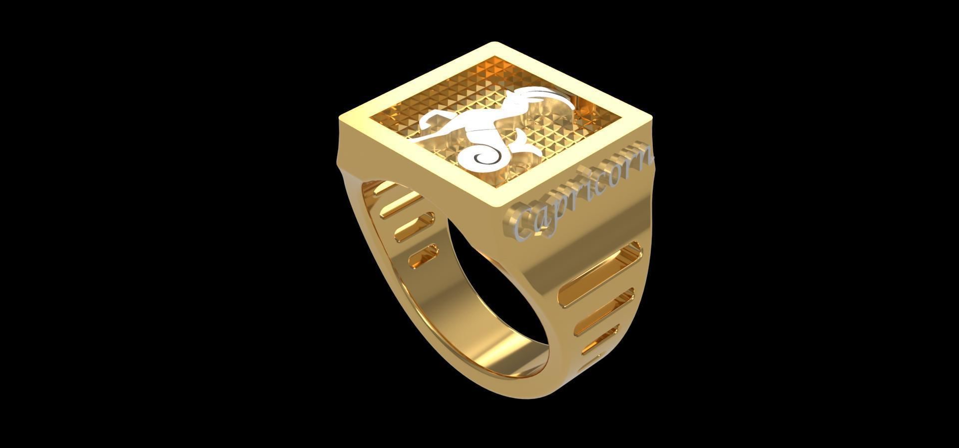 Zodiac COMPLETE SET of 12 ring 3D print model_9