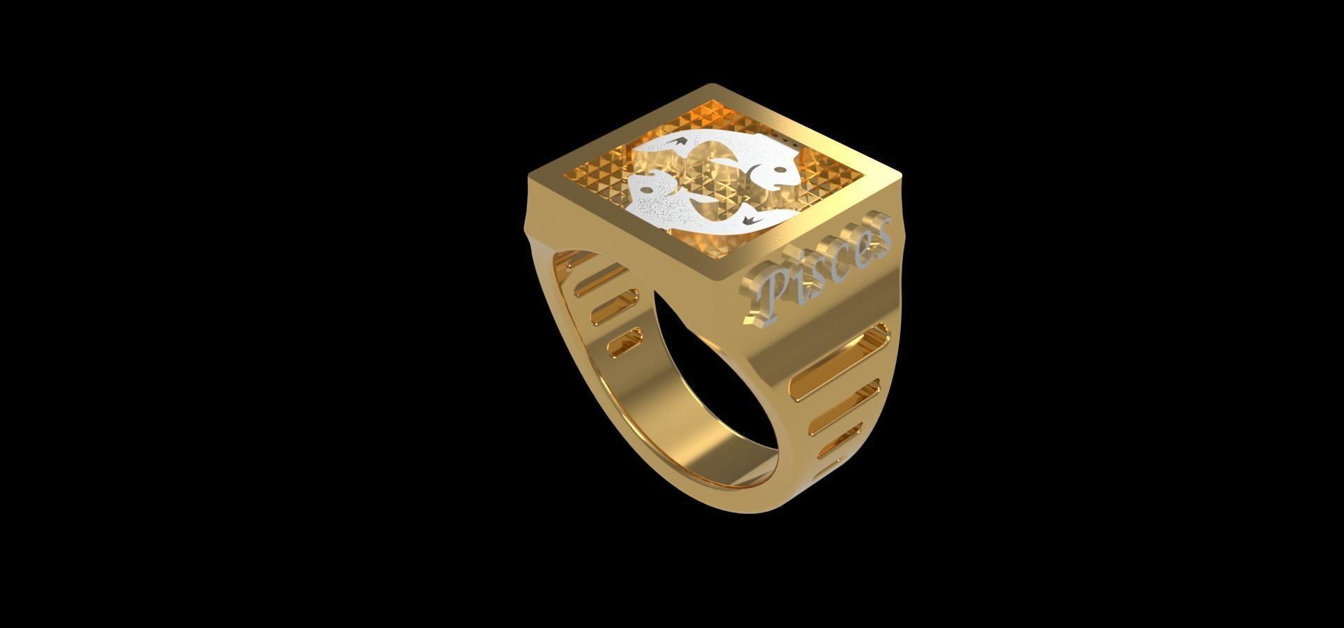 Zodiac COMPLETE SET of 12 ring 3D print model_13