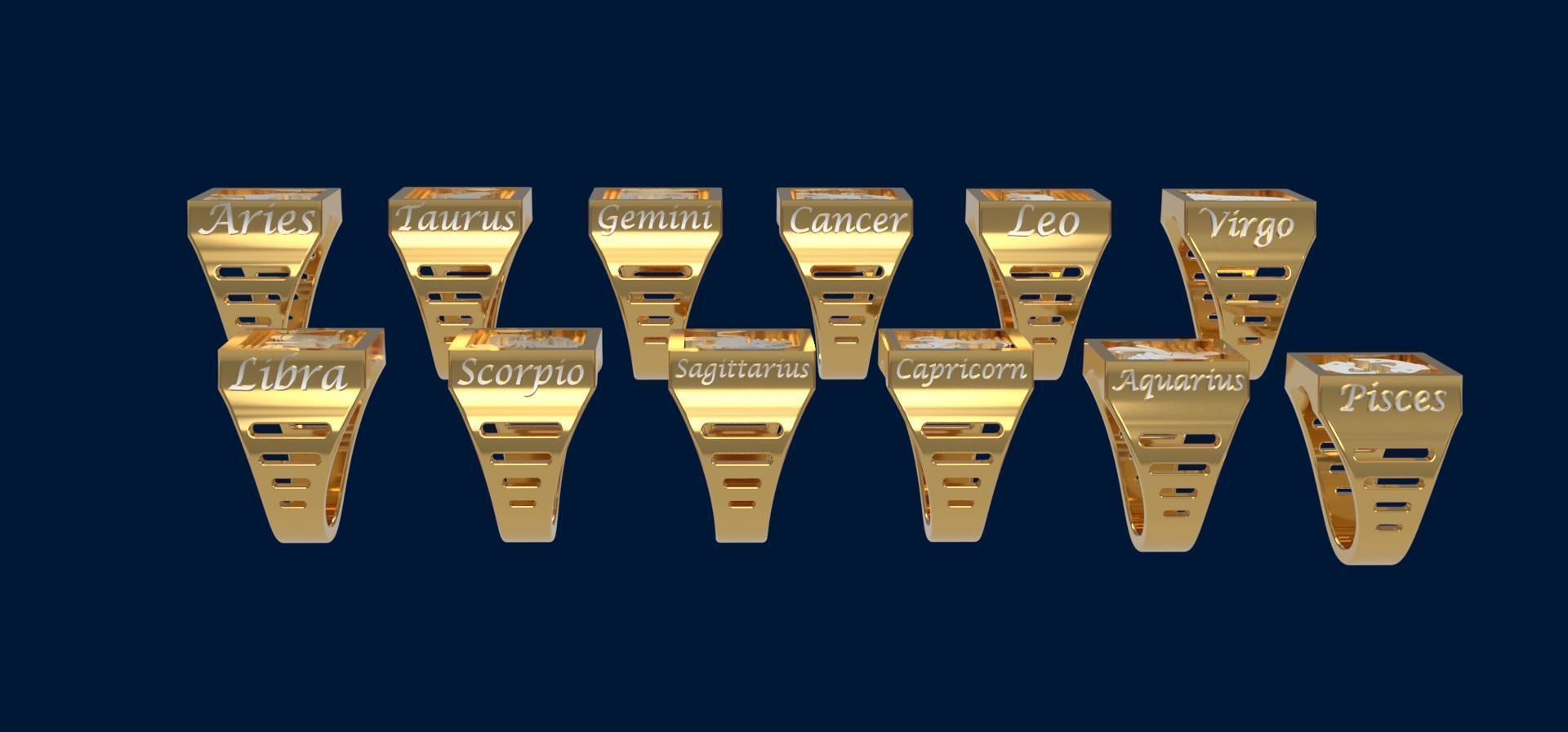 Zodiac COMPLETE SET of 12 ring 3D print model_1