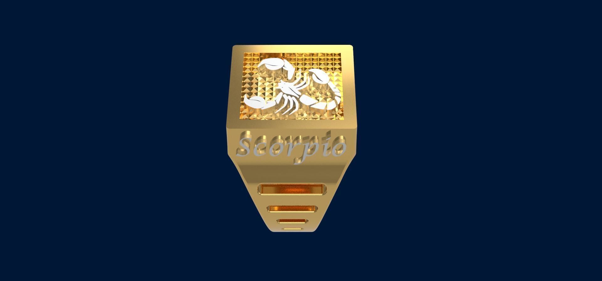 Zodiac COMPLETE SET of 12 ring 3D print model_3