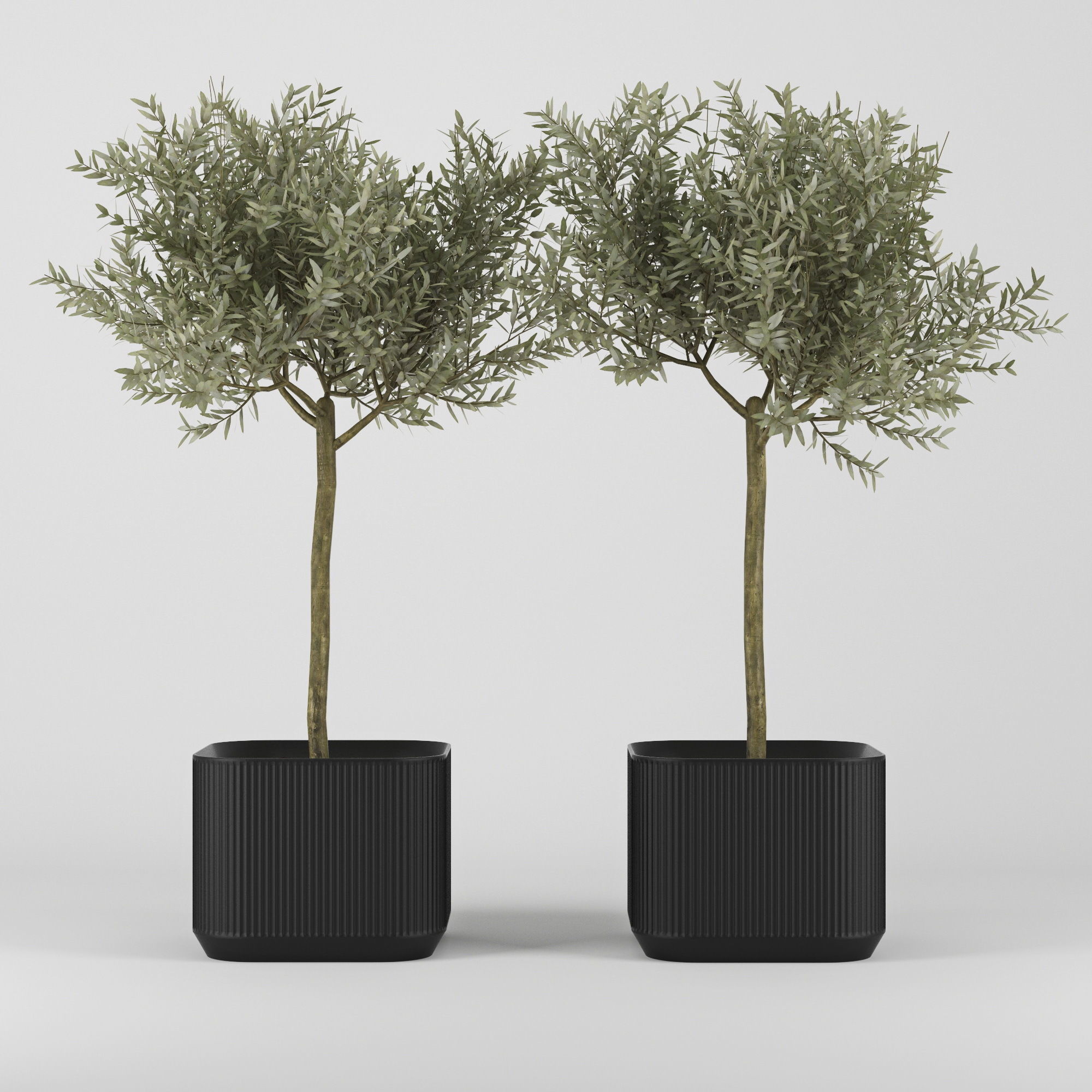 Urbilis Olive 3D model_4