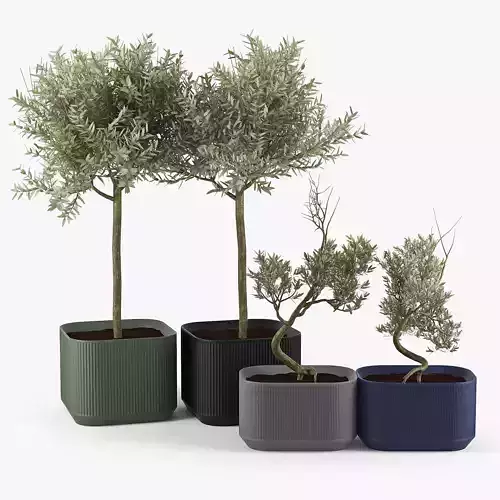 Urbilis Olive 3D model