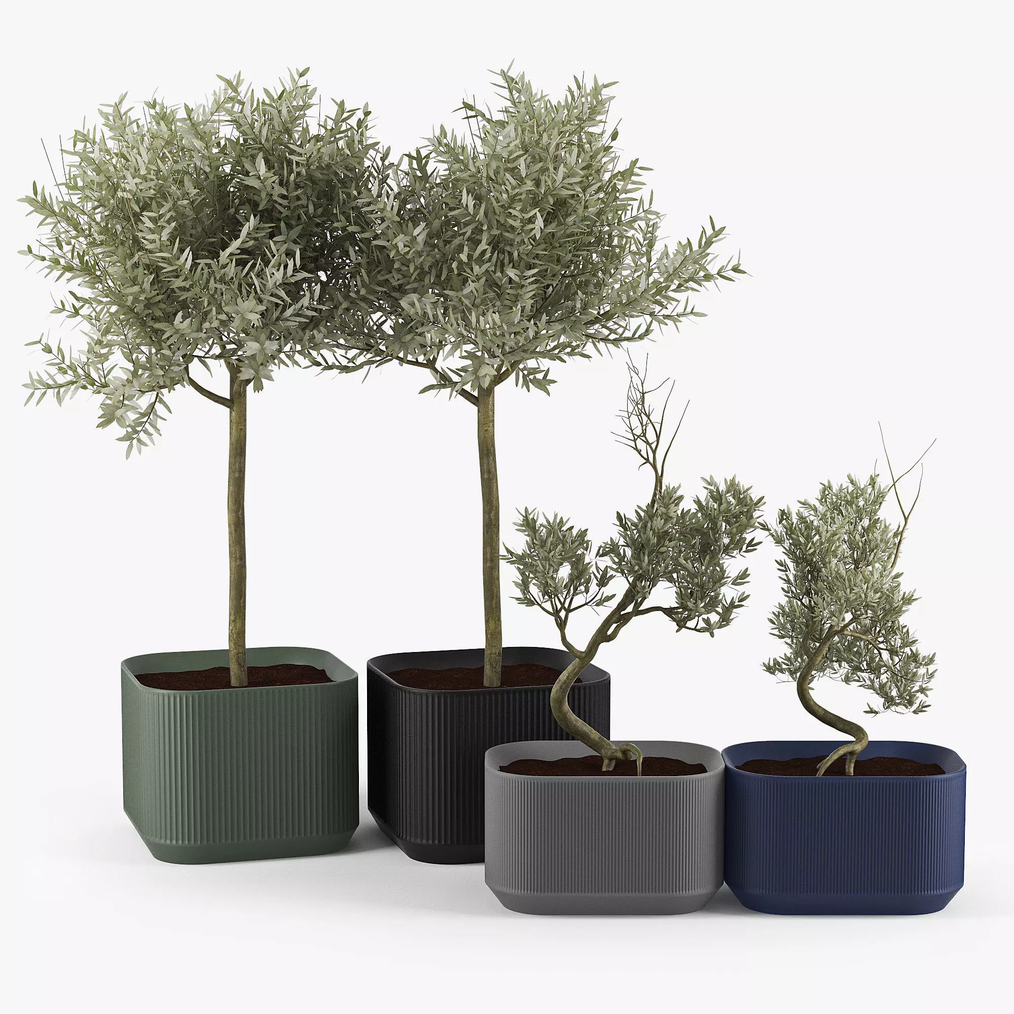 Urbilis Olive 3D model_0