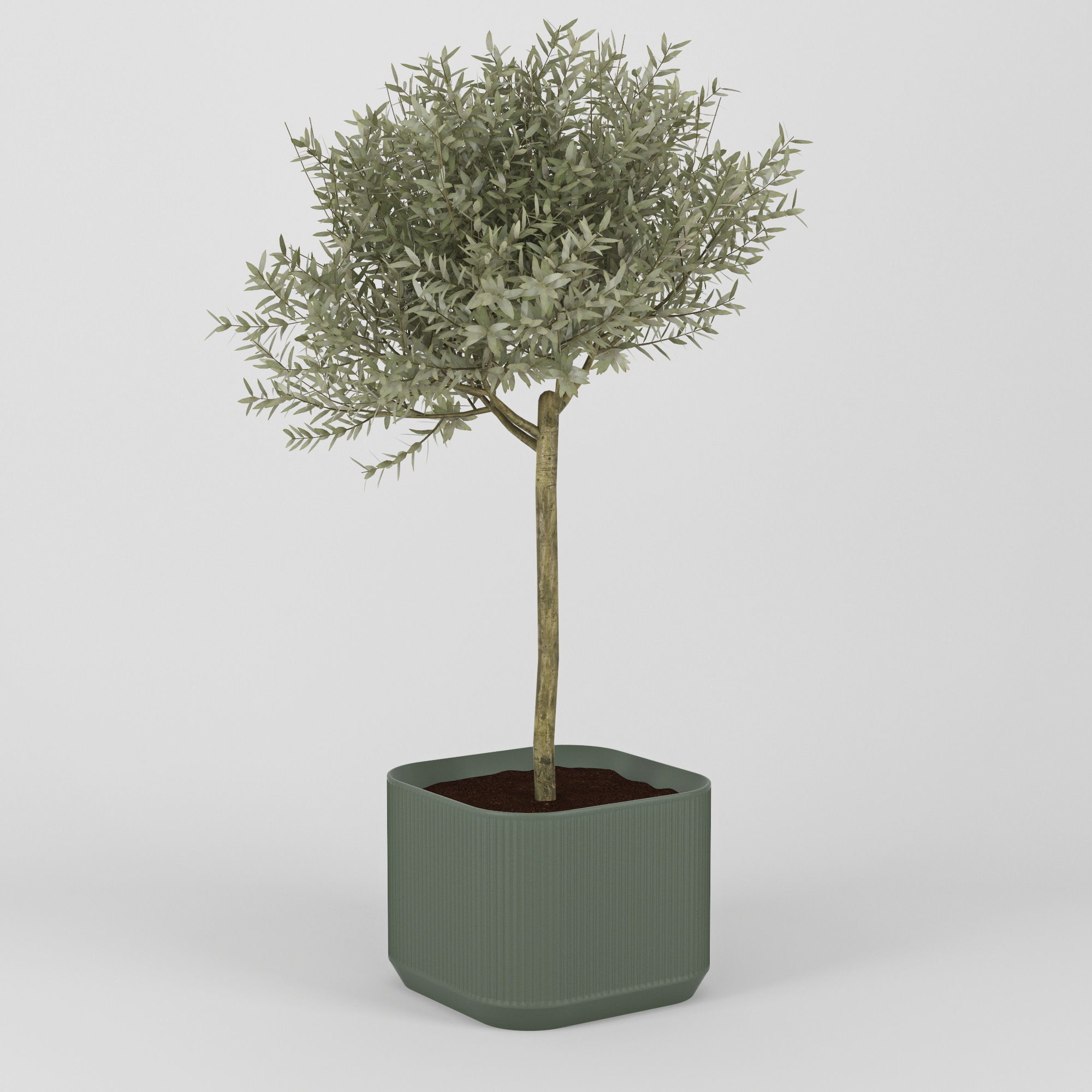 Urbilis Olive 3D model_8