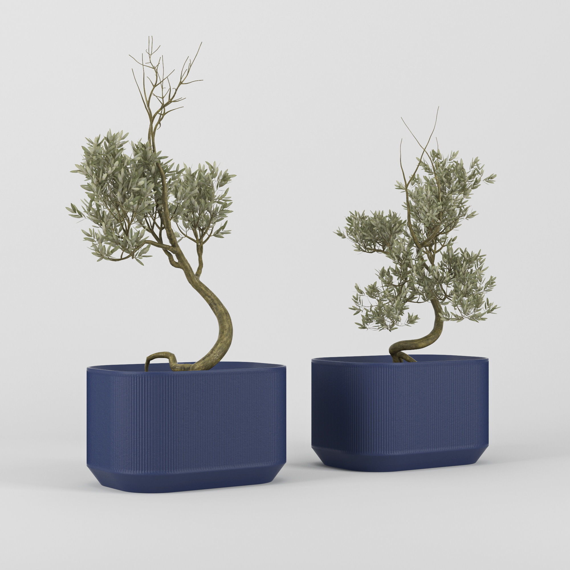 Urbilis Olive 3D model_6