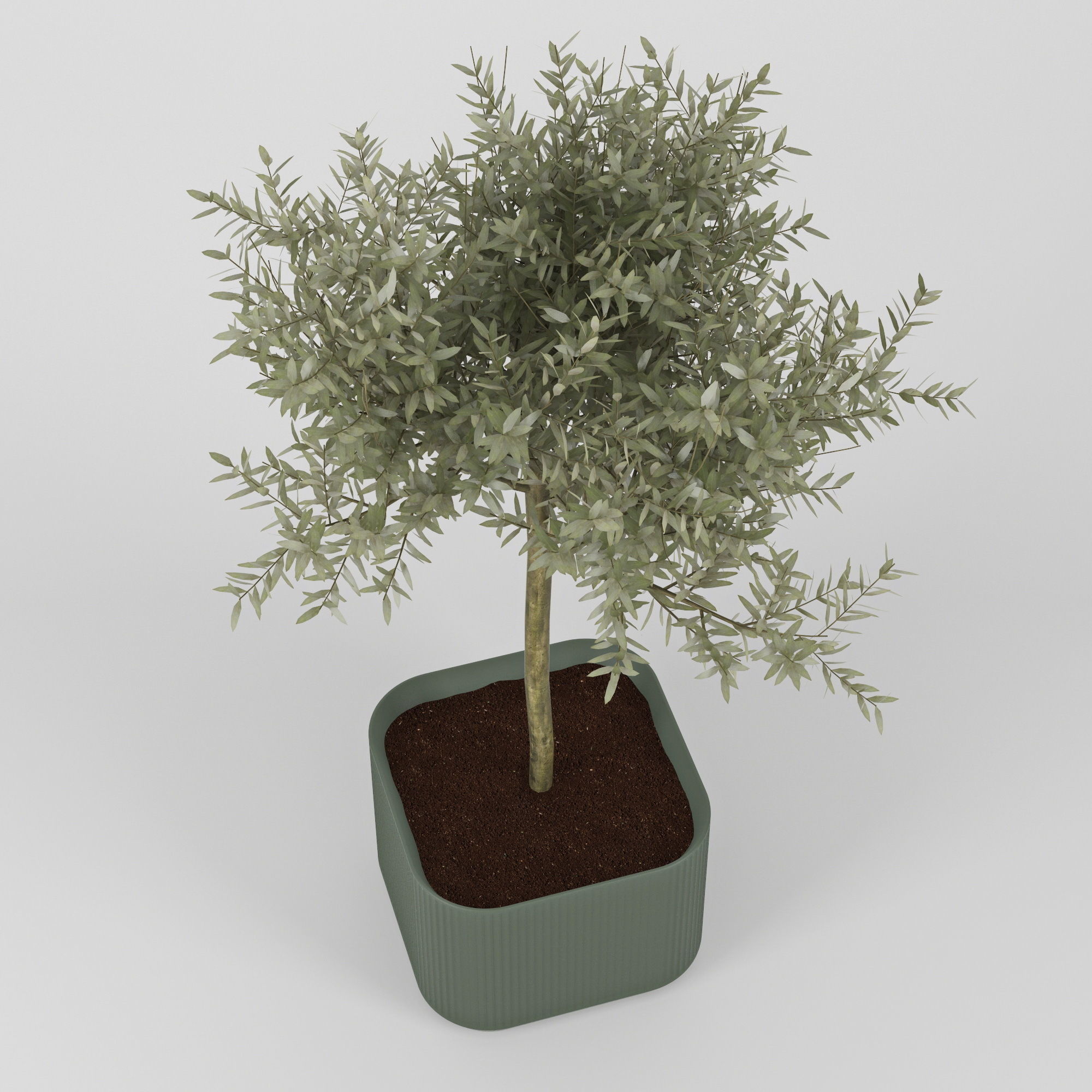 Urbilis Olive 3D model_10