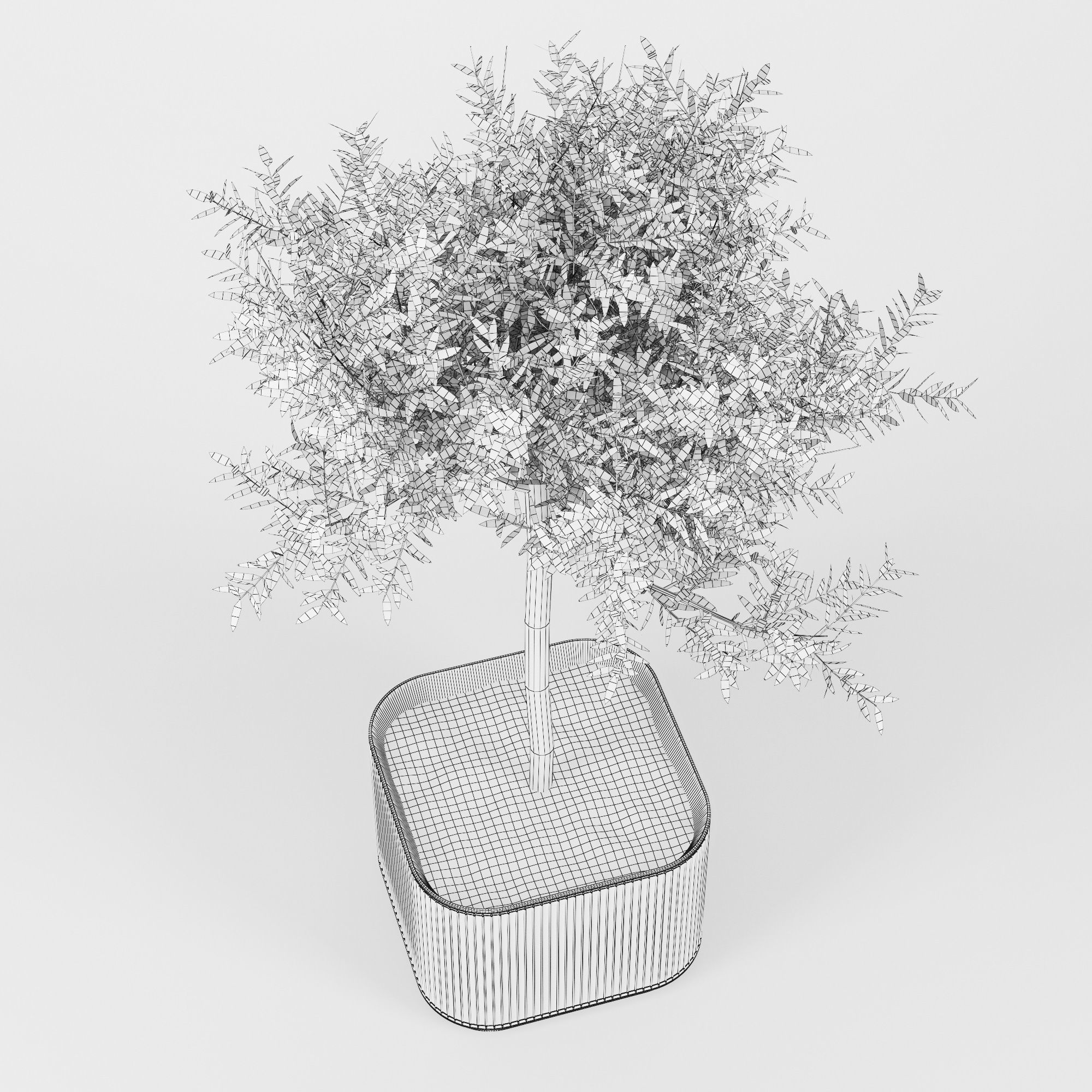 Urbilis Olive 3D model_13