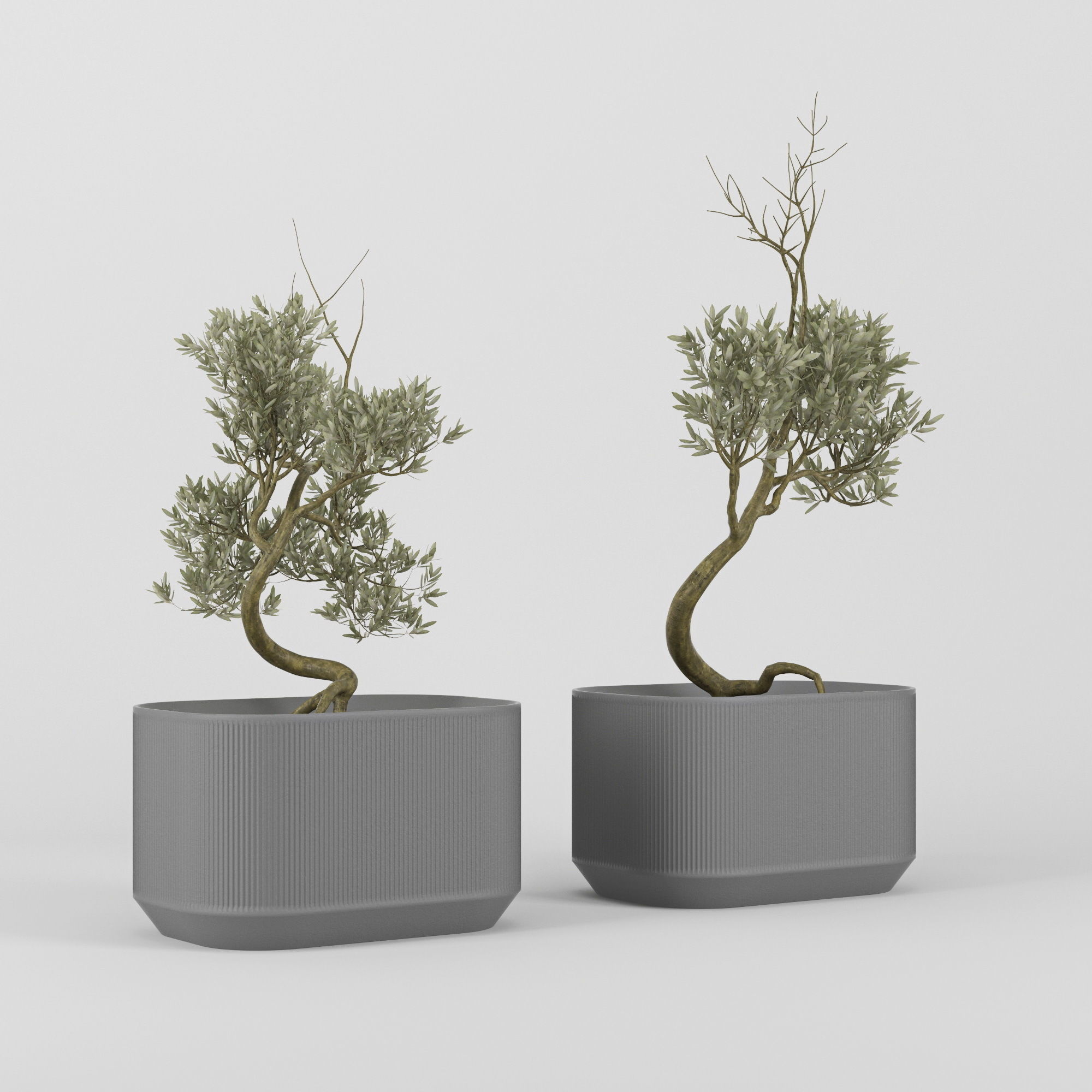 Urbilis Olive 3D model_5