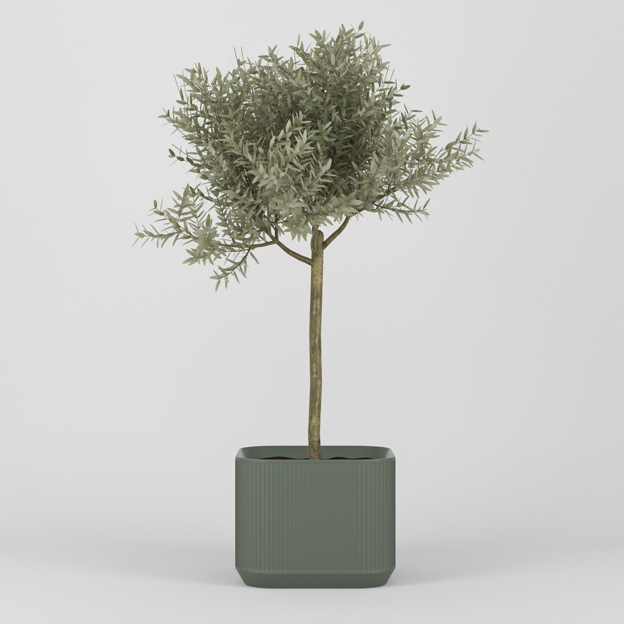 Urbilis Olive 3D model_7