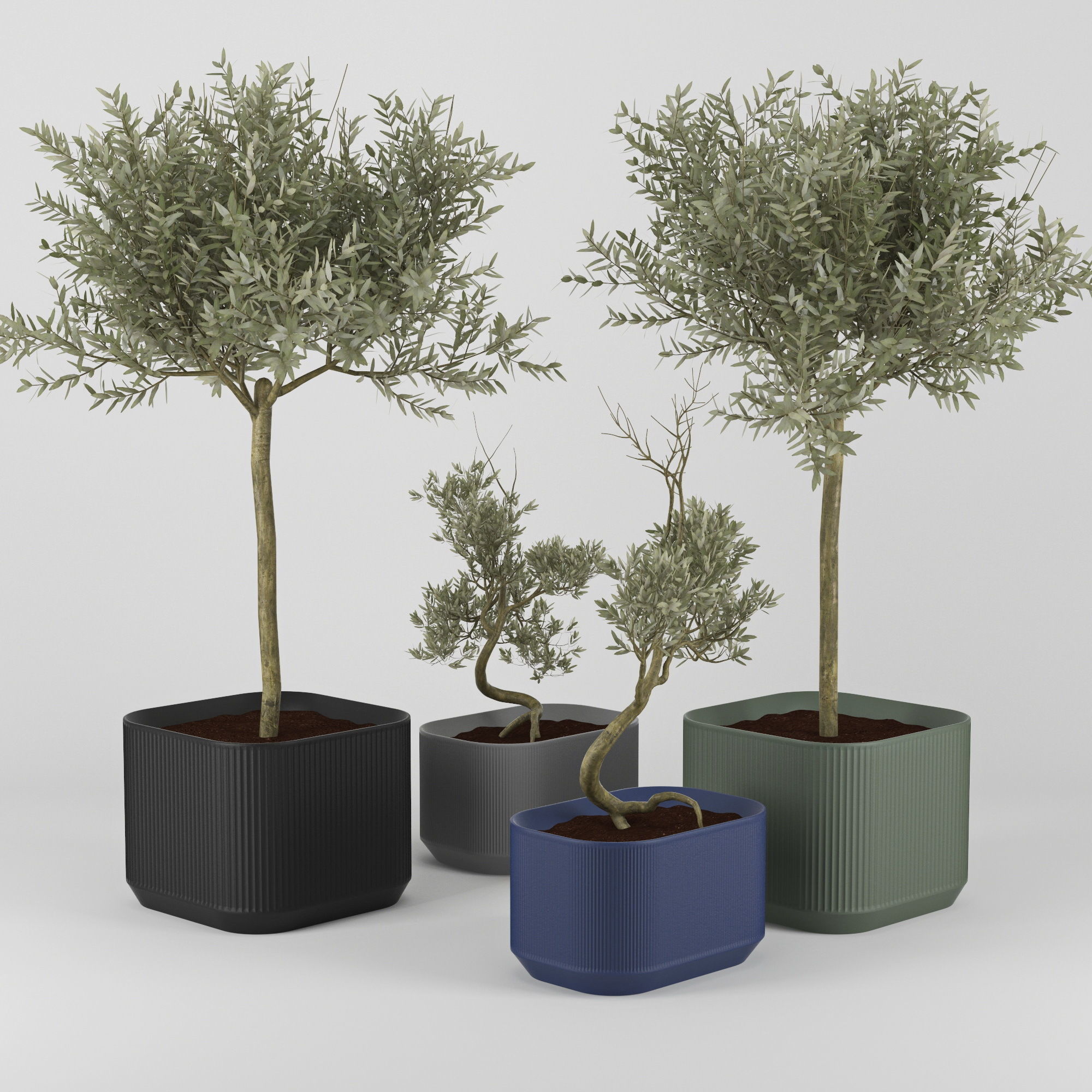 Urbilis Olive 3D model_1