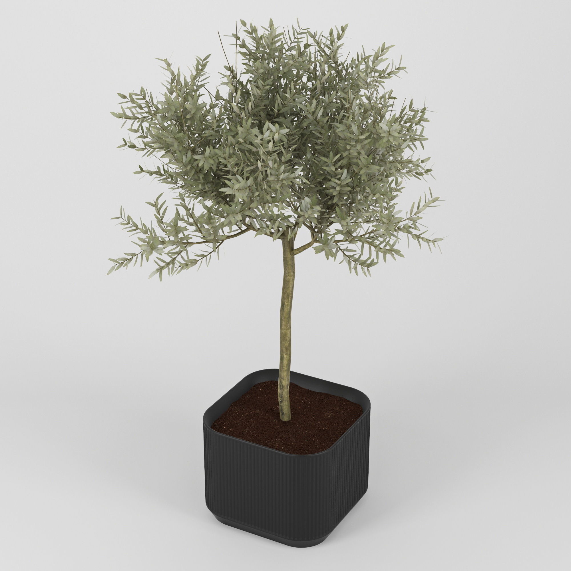 Urbilis Olive 3D model_11