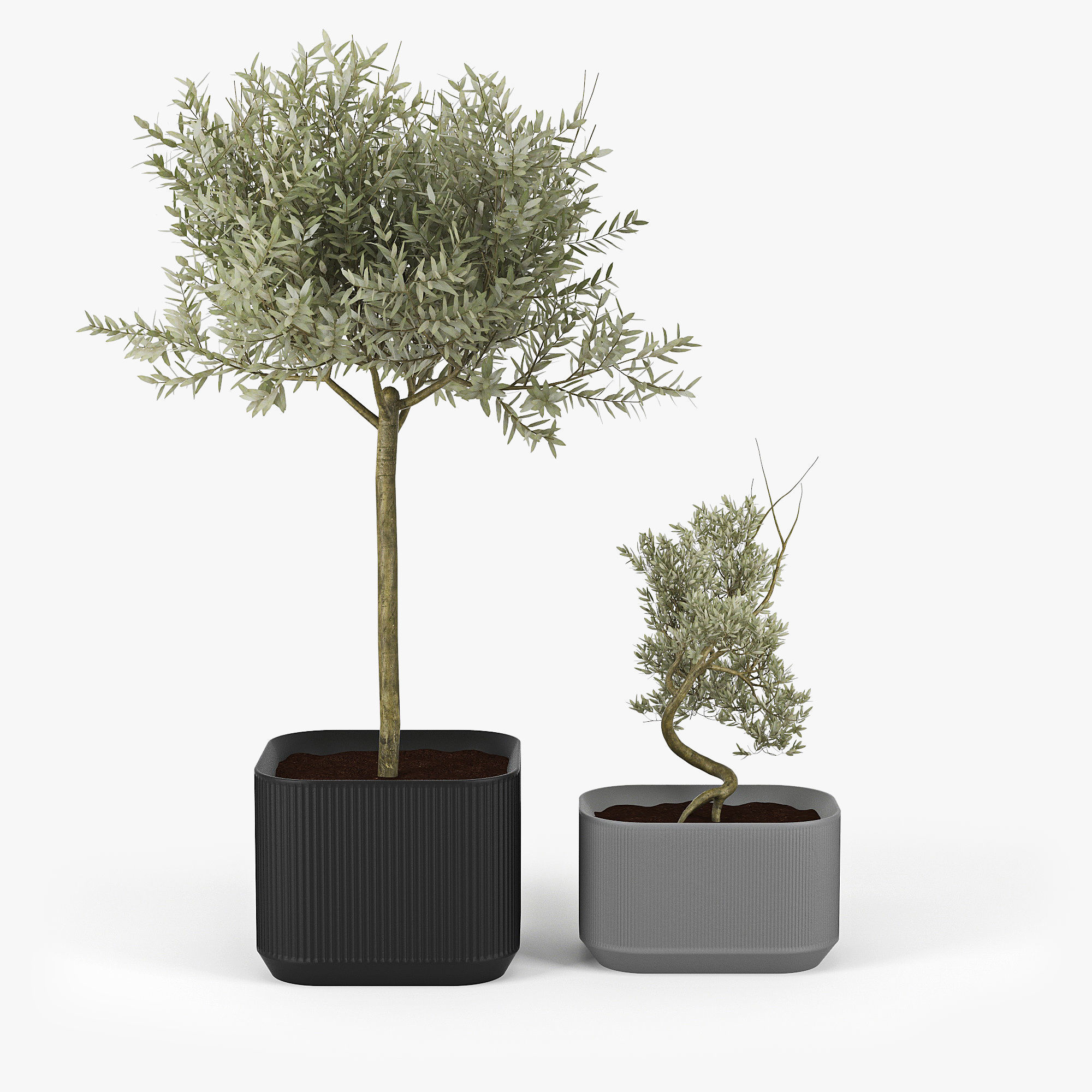 Urbilis Olive 3D model_3