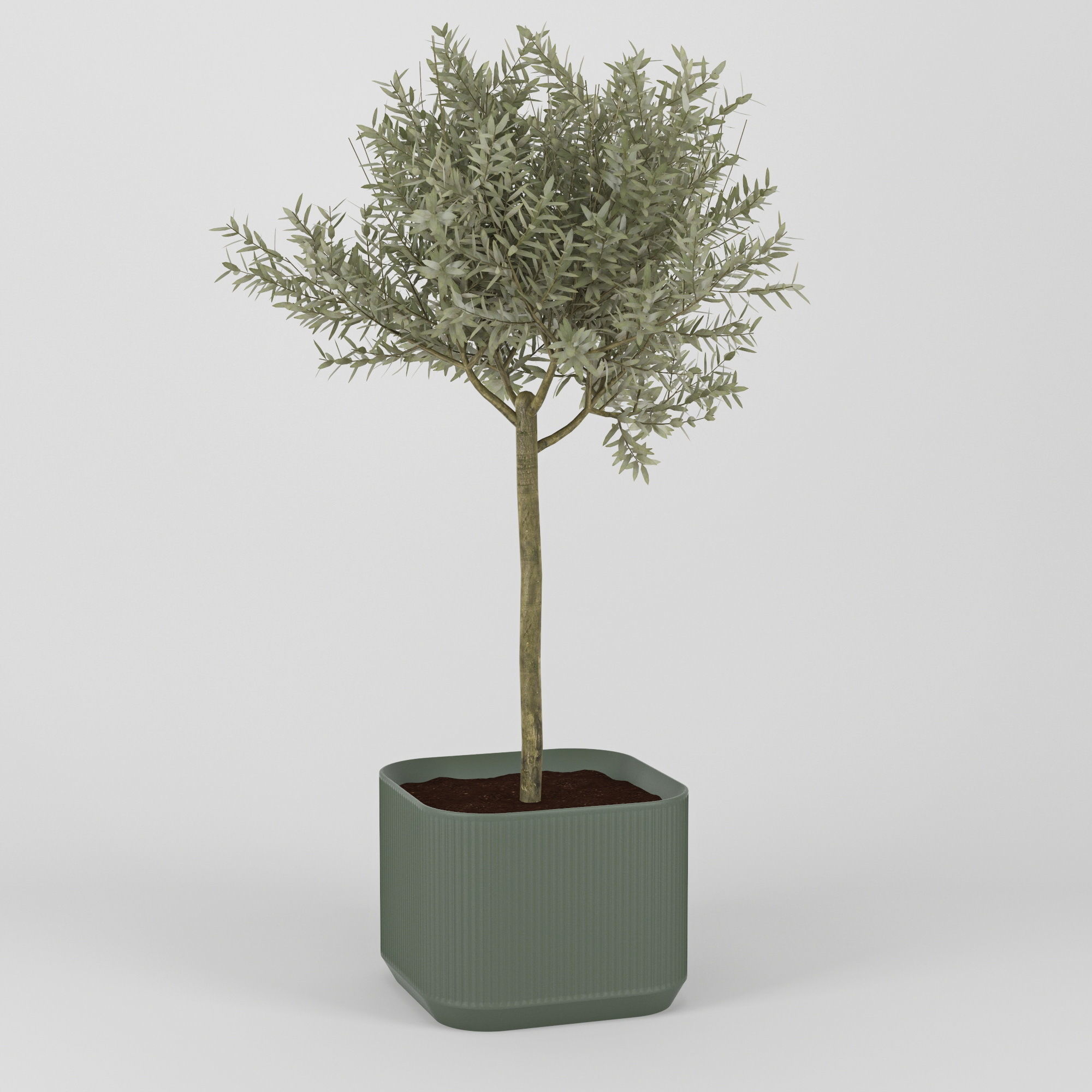 Urbilis Olive 3D model_9