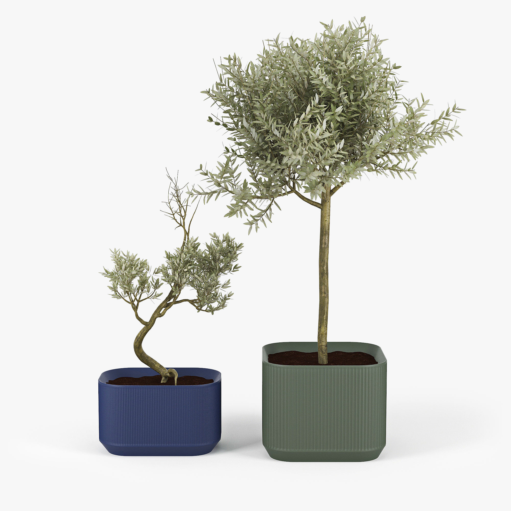 Urbilis Olive 3D model_2