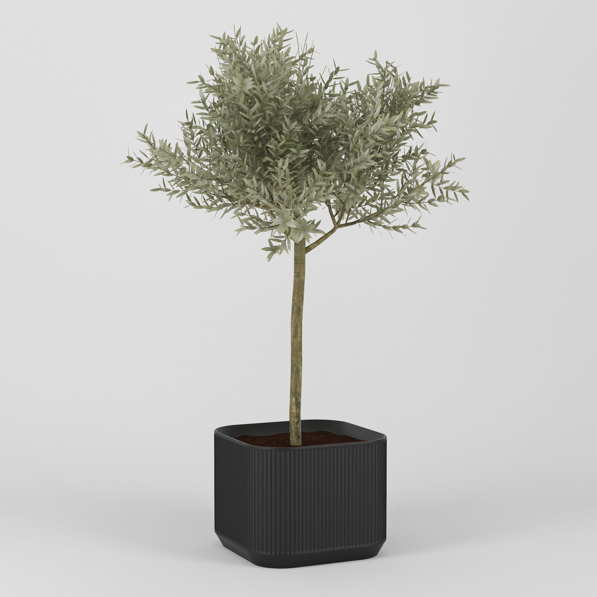 Urbilis Olive 3D model_12