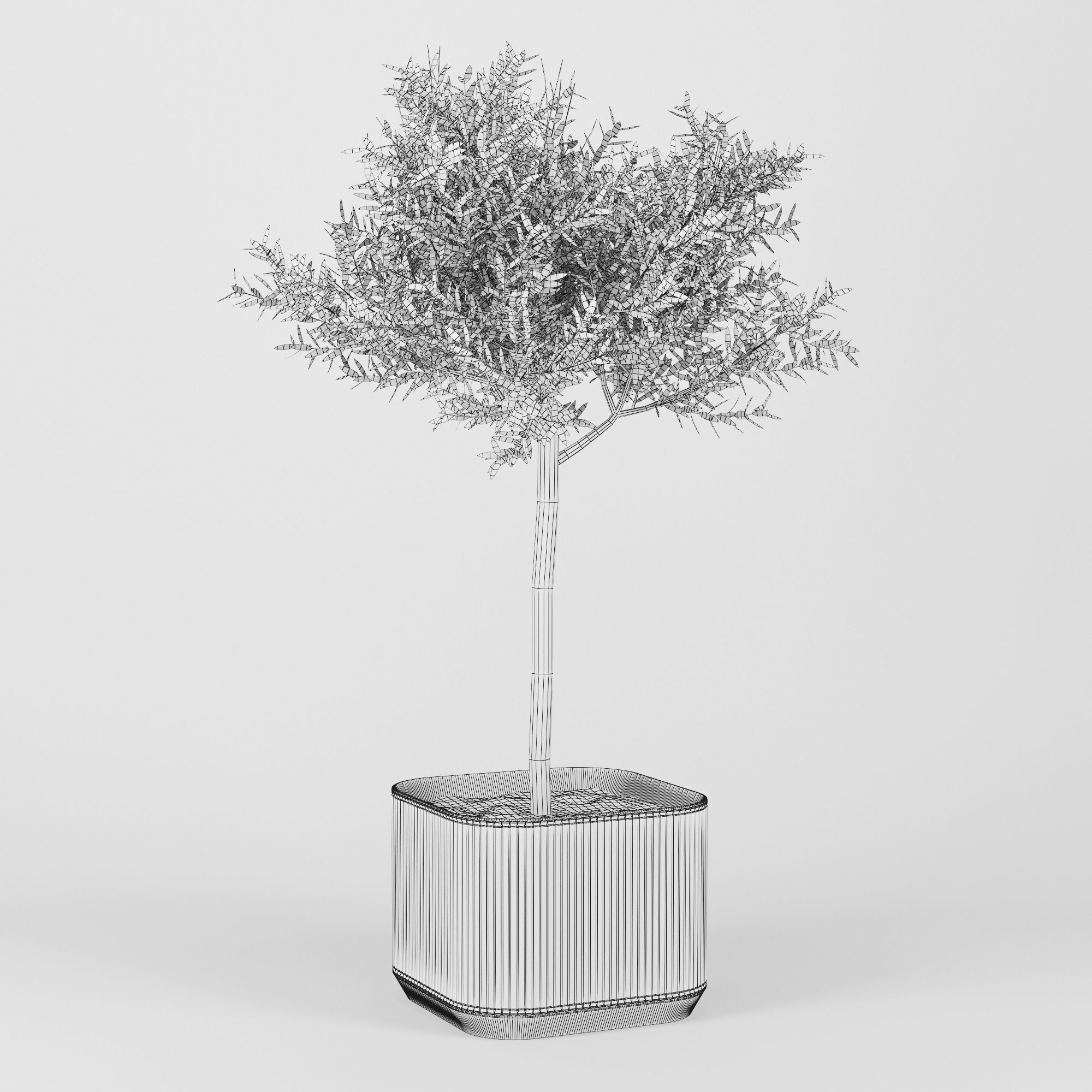 Urbilis Olive 3D model_14