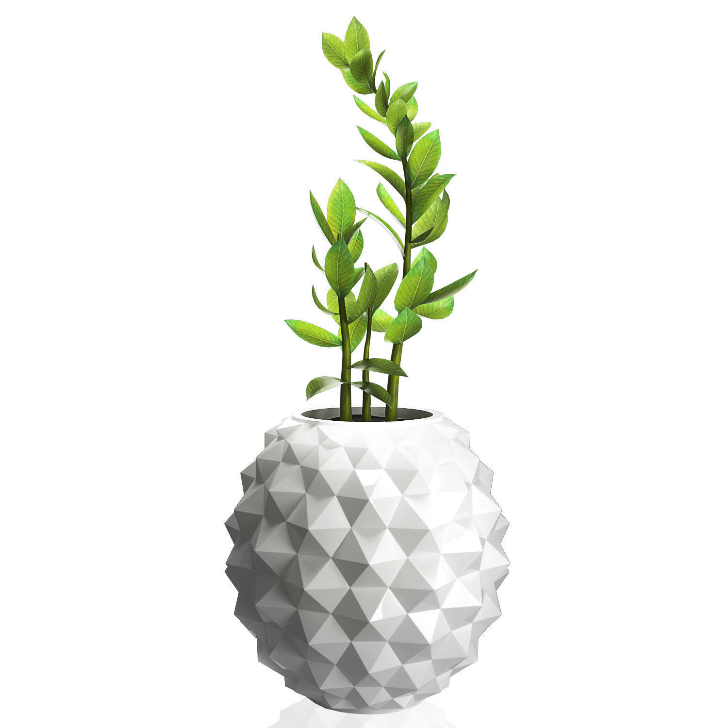 Flower pot with plant 3D model_0