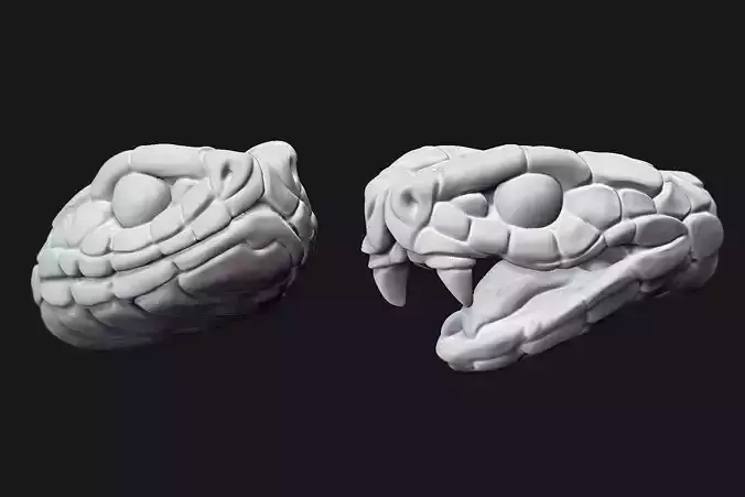 Snake Heads 3D print model
