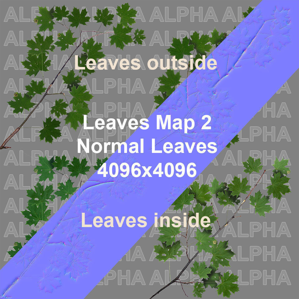 Maple Acer Tree 01 PBR Low-poly 3D model_10