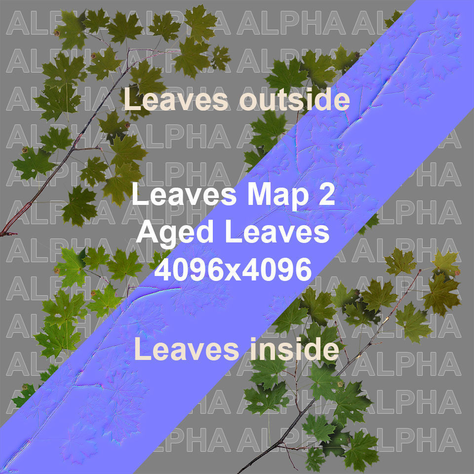 Maple Acer Tree 01 PBR Low-poly 3D model_11