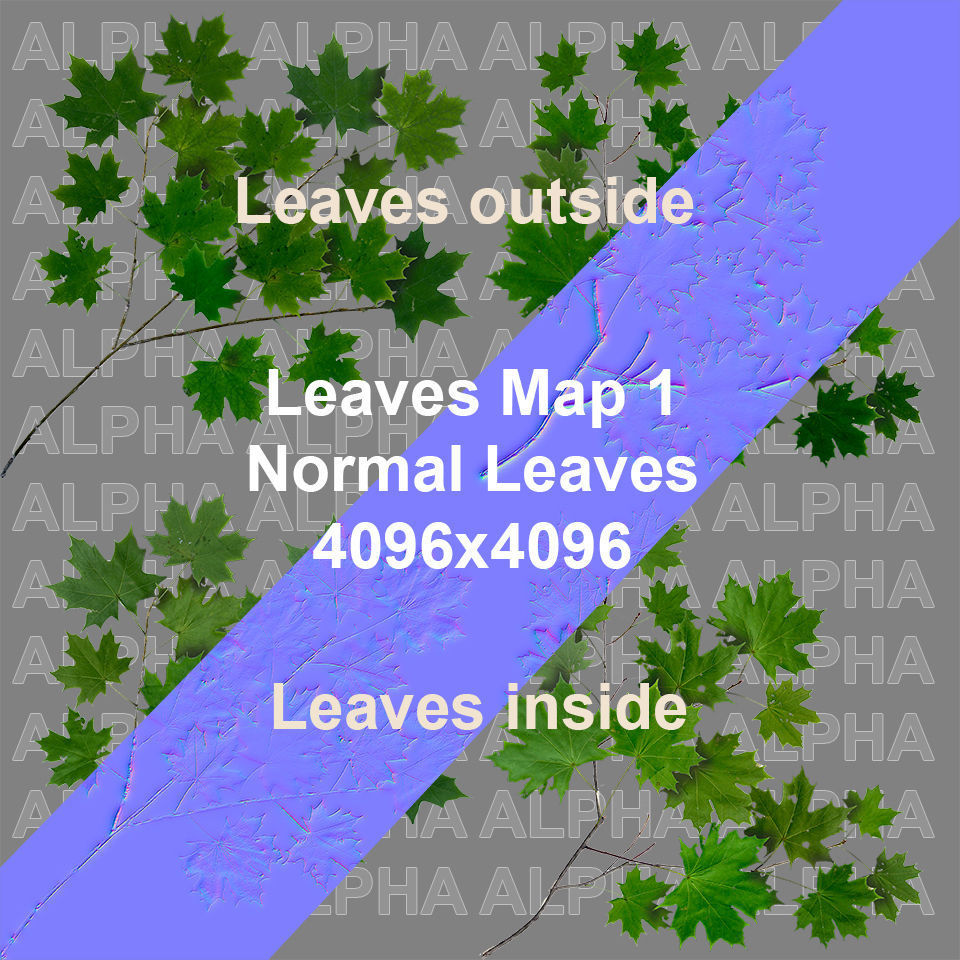 Maple Acer Tree 01 PBR Low-poly 3D model_8