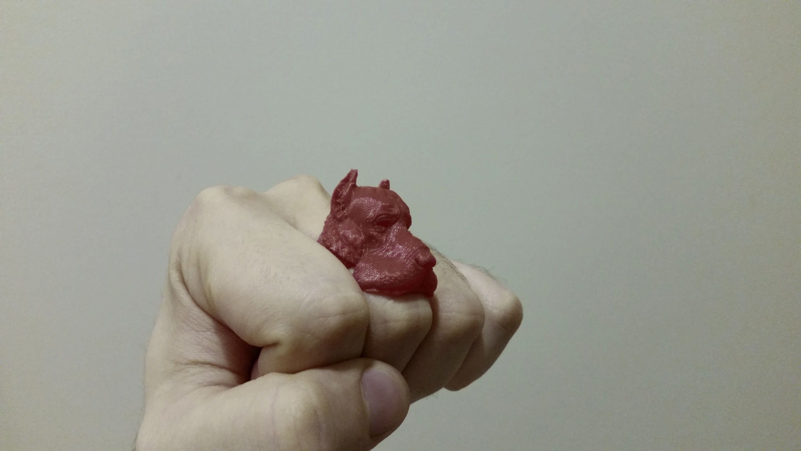 Dog Ring  3D print model_4