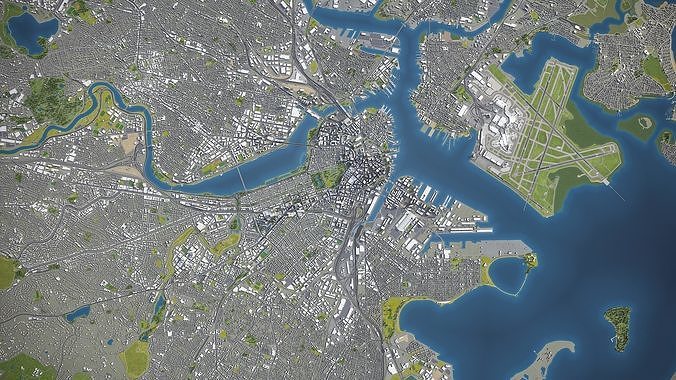Boston Low-poly 3D model 5