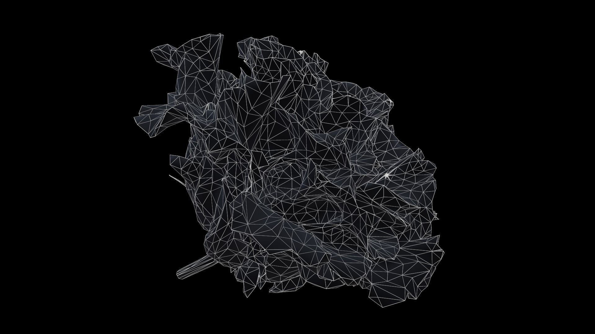 Carnation Clove Pink Dianthus Caryophyllus Low-poly 3D model_6