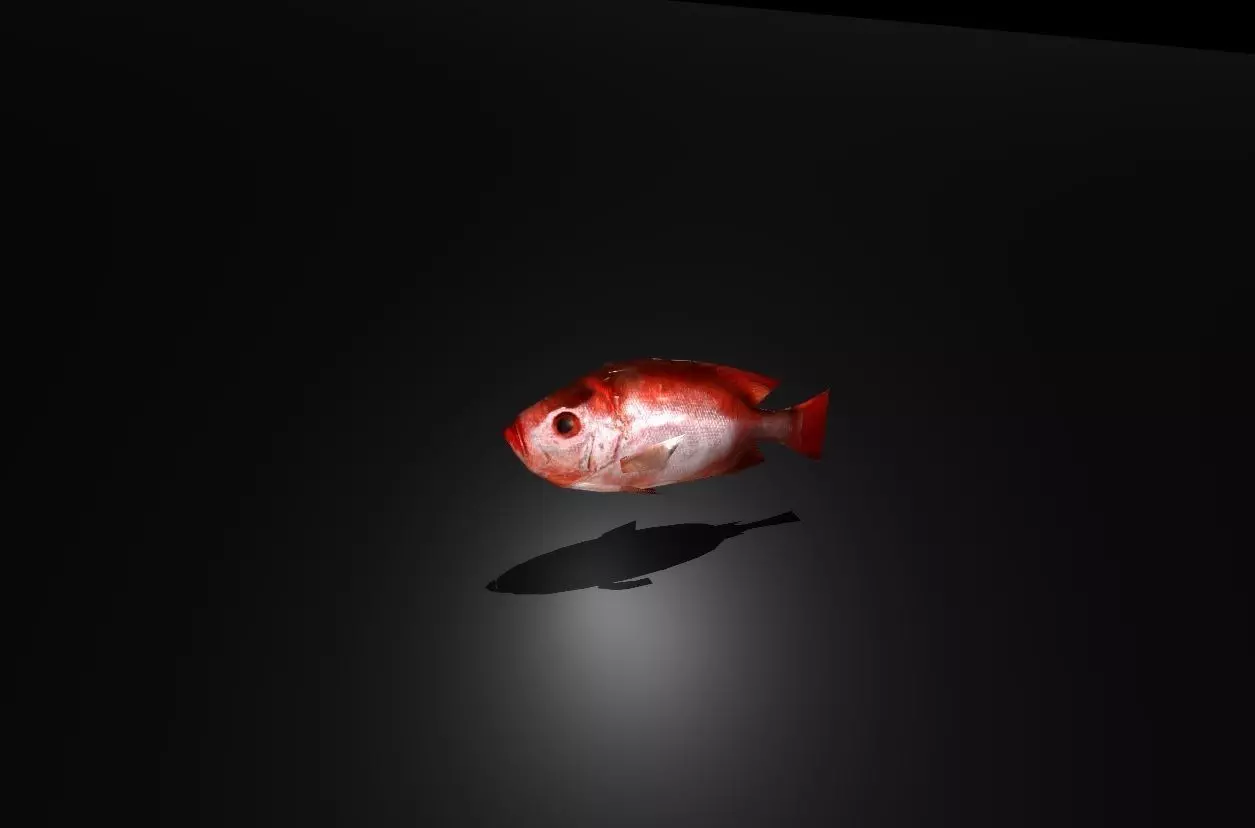 Fish3D v1 Free low-poly 3D model