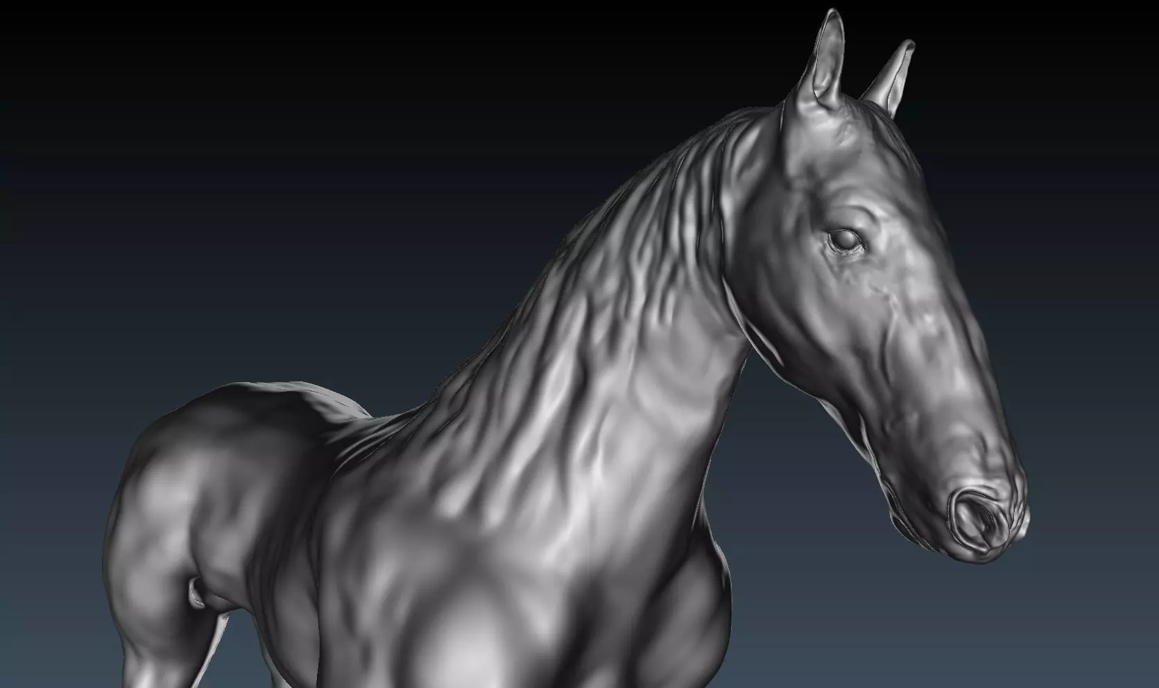 horse Free 3D print model