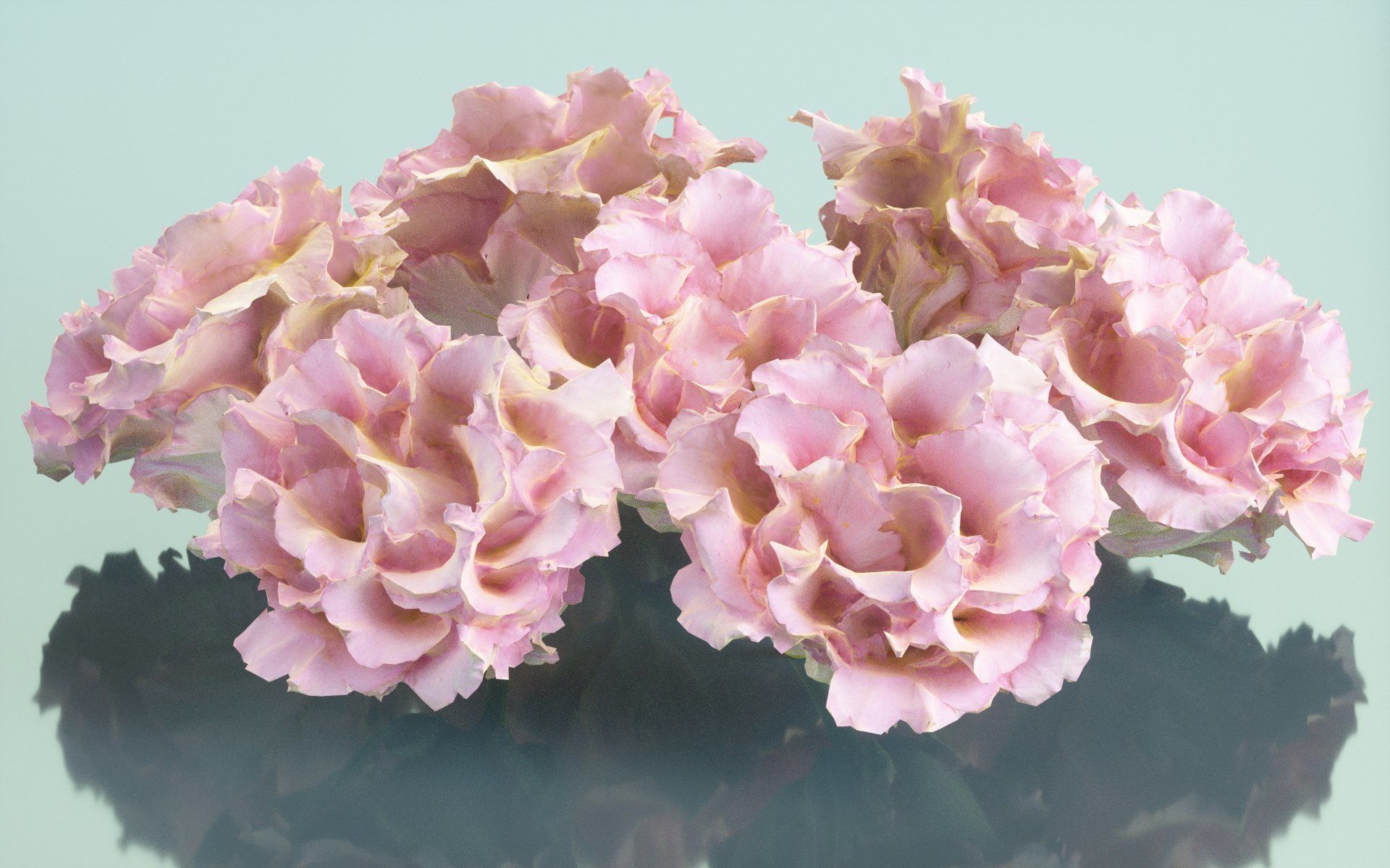 10 Flowers Collection _8