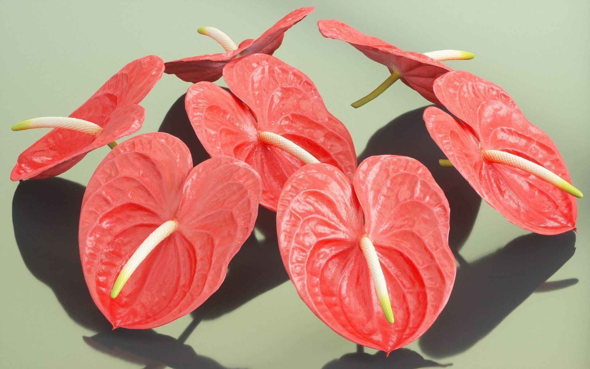 10 Flowers Collection _3