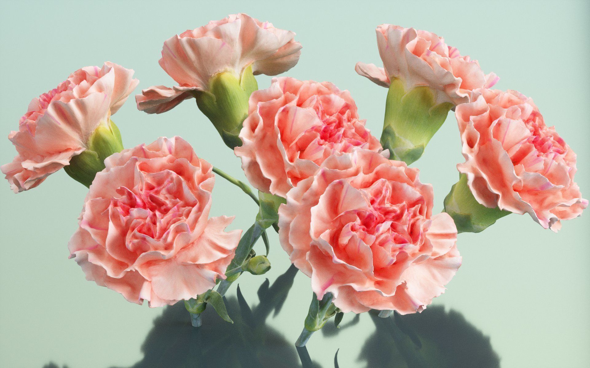 10 Flowers Collection _7