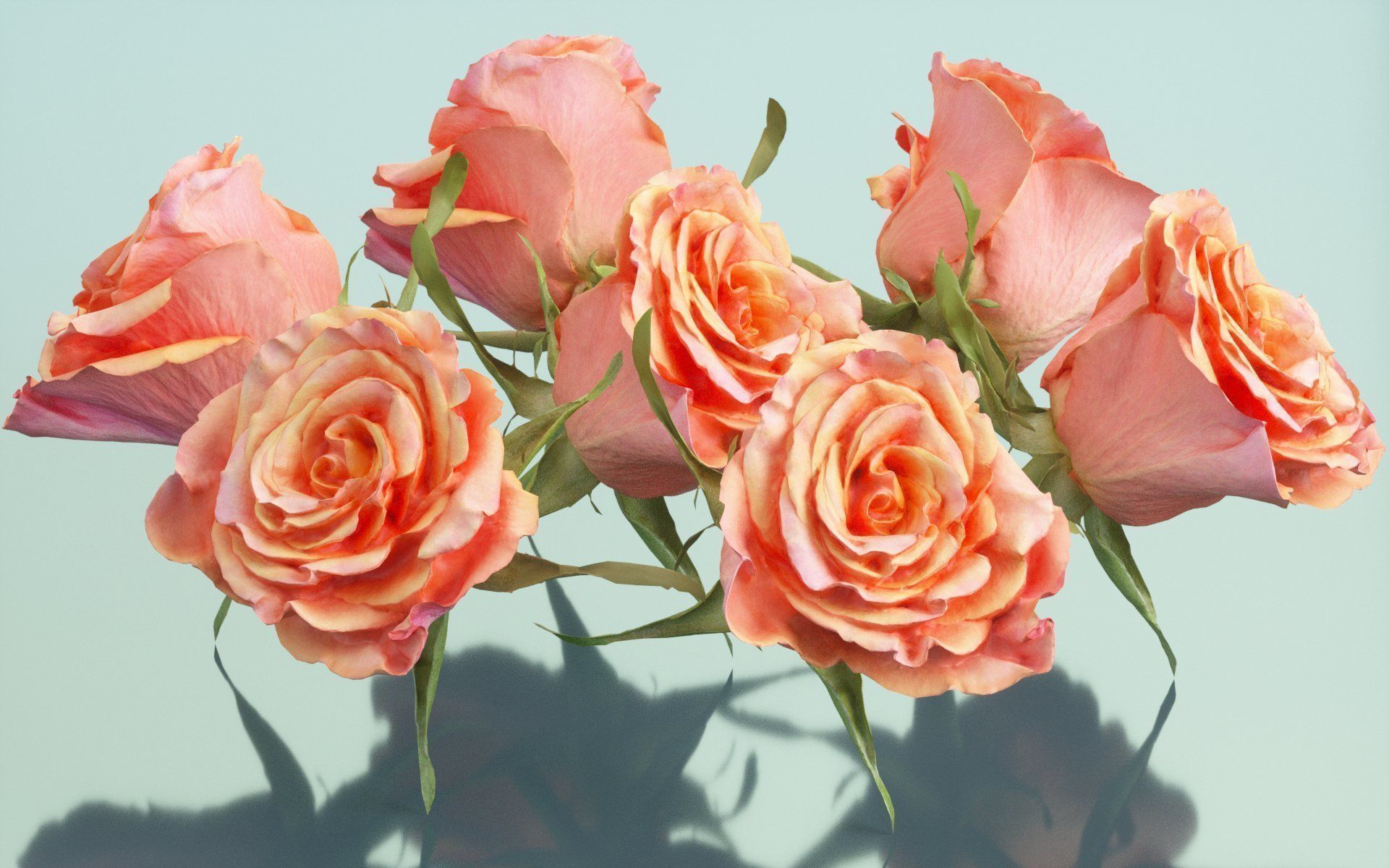 10 Flowers Collection _6