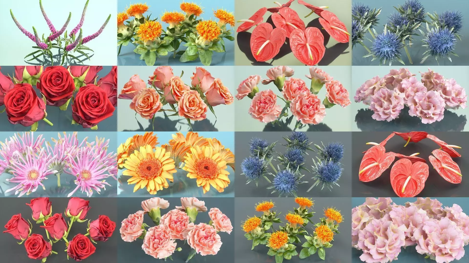 10 Flowers Collection _0