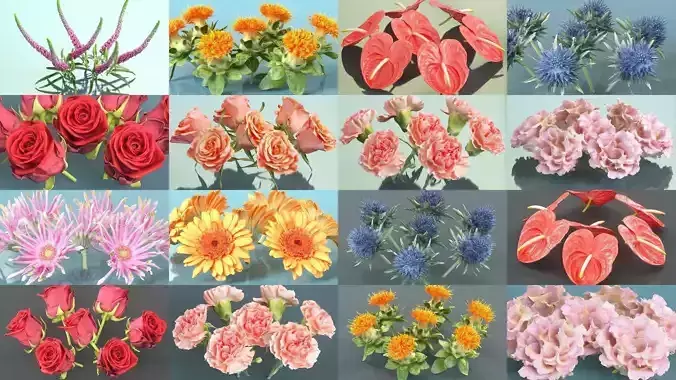 10 Flowers Collection 