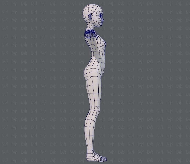 Base mesh girl characterV06 Low-poly 3D model_11