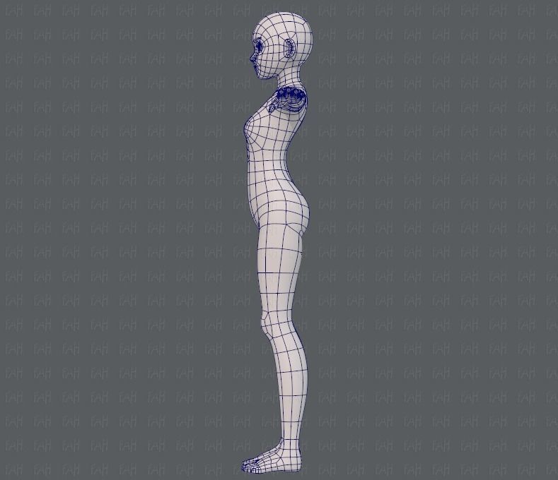 Base mesh girl characterV06 Low-poly 3D model_15