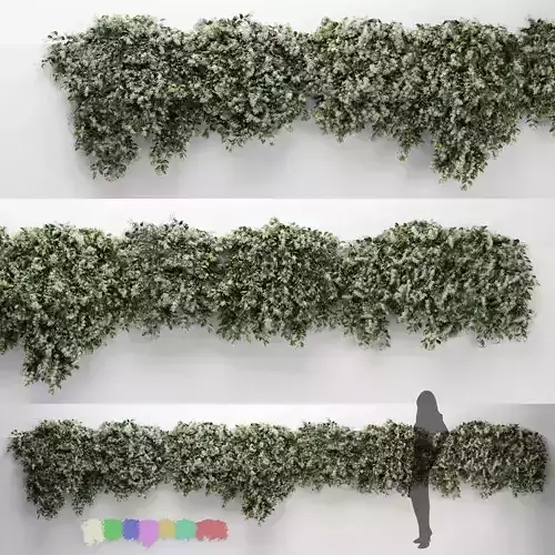 Hanging Plant - ChoisyaTernata - 7 Modular Pieces 3D model