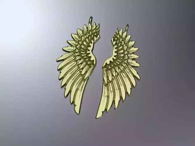 Wing earrings