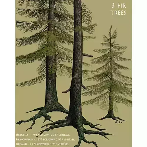 3 Fir Trees Low Poly