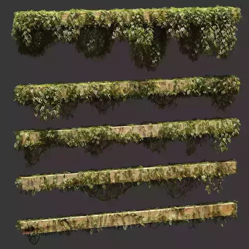 Leaves for beams 5 models 3D model