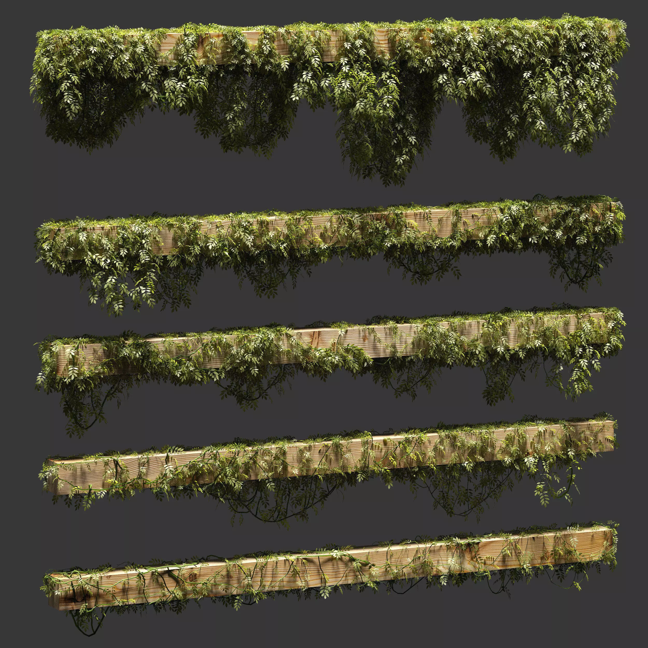 Leaves for beams 5 models 3D model_0